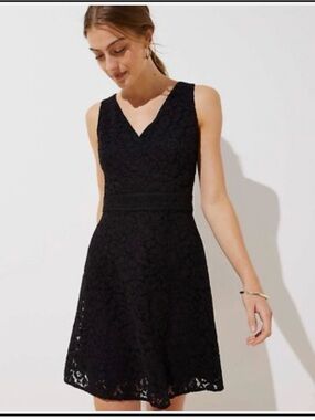 LOFT Black Lace V-Neck Fit & Flare Mini Dress